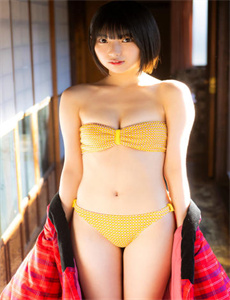 九鼎迷踪电视剧